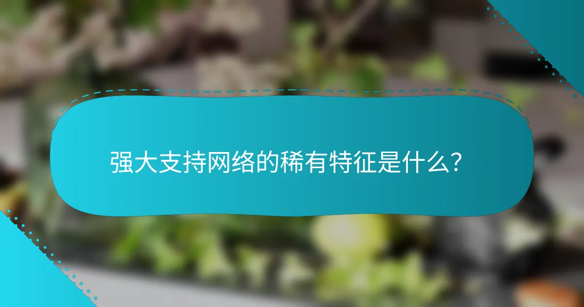 强大支持网络的稀有特征是什么？