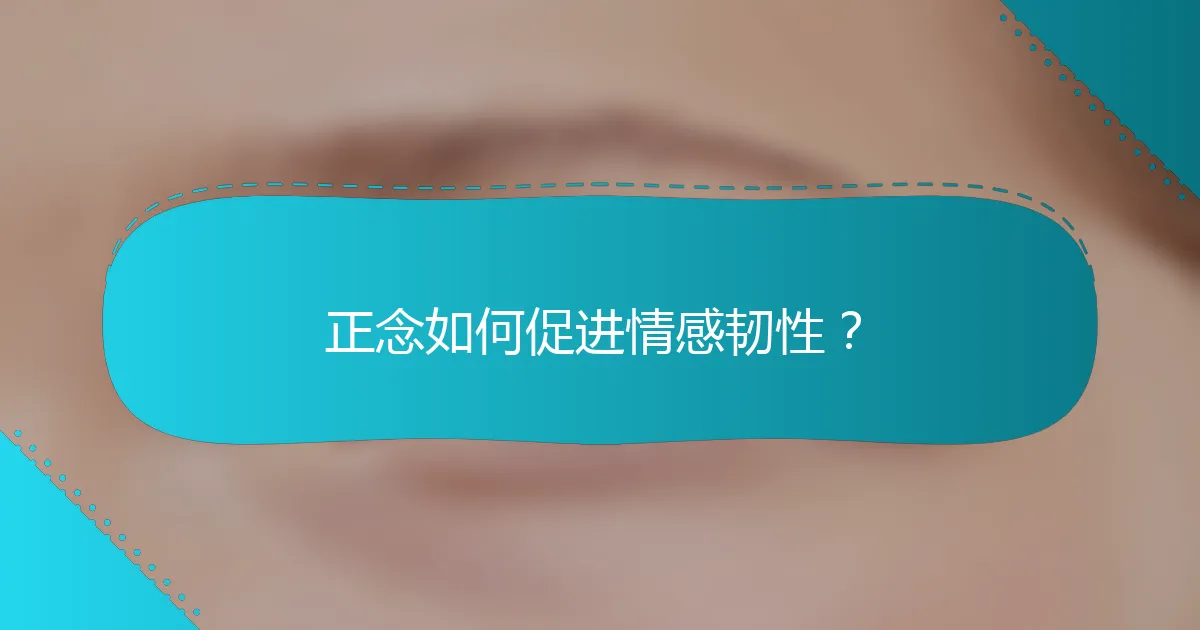 正念如何促进情感韧性？